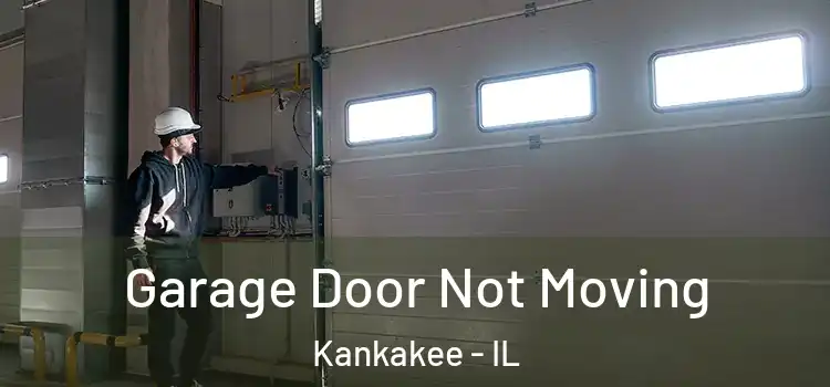  Garage Door Not Moving Kankakee - IL