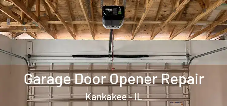 Garage Door Opener Repair Kankakee - IL