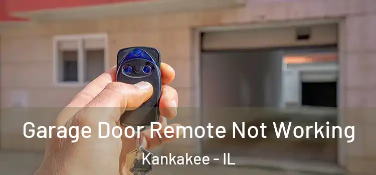  Garage Door Remote Not Working Kankakee - IL