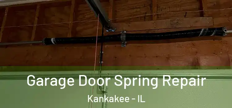  Garage Door Spring Repair Kankakee - IL