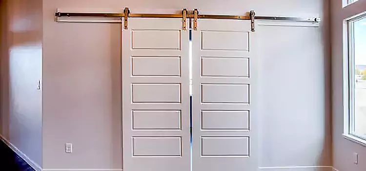 Glass Barn Door with Installation Hardware Kit Kankakee