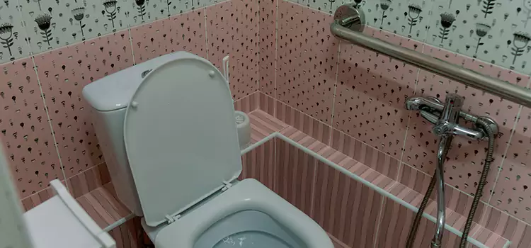 Meeting Diverse Needs With Accessible Restroom Solutions in Kankakee, IL