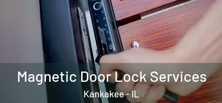Magnetic Door Lock Services Kankakee - IL